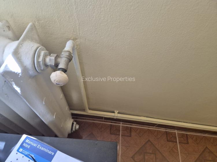 Apartament cu gradina, foisor si bucatarie de vara in Vidra - 4