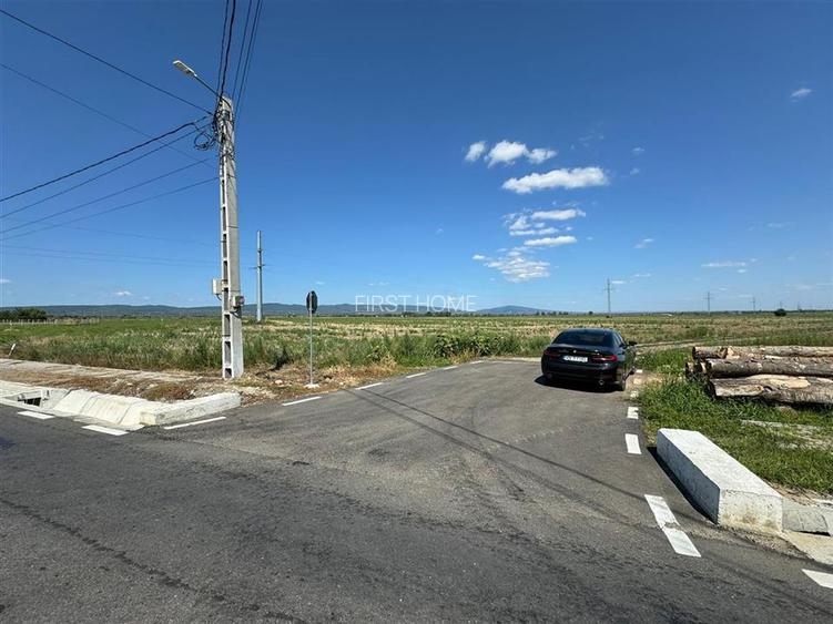 Teren in Golesti 9.848mp intravilan + extravilan  pret 6 euro / mp - 9