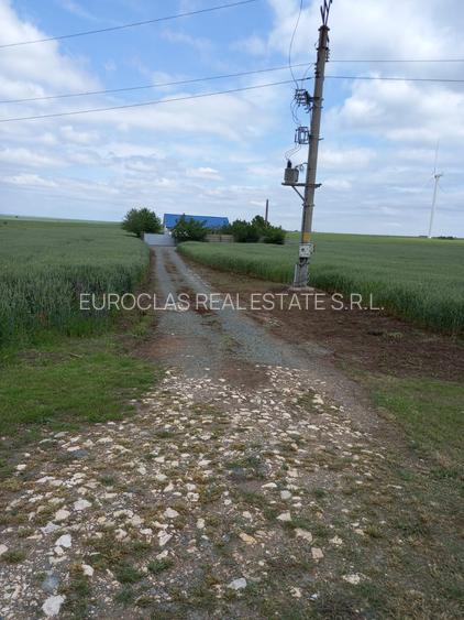 Casa 5 camere - Corbu - 115.000 euro (Cod E2+E7) - 20