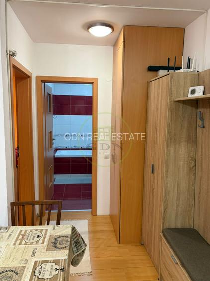 Apartament 2 camere de inchiriat-Zona Doamna Stanca - 5