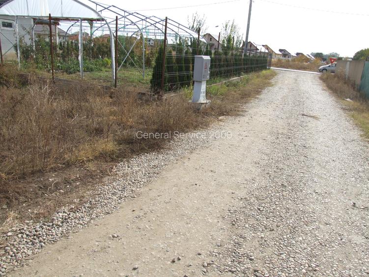 Domnesti-Ciocarliei, Afinului - 5