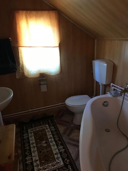 Cabana de familie în Luncile Prigoanei, la 5 km de Domeniul Schiabil Șureanu | 1