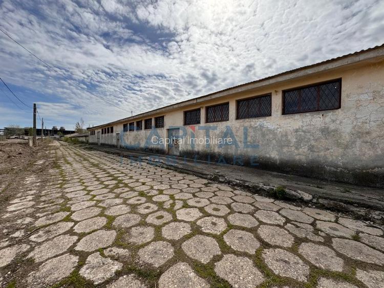 Comision 0%! Teren  de vanzare  38245 mp+ constructii 3400 mp - 21