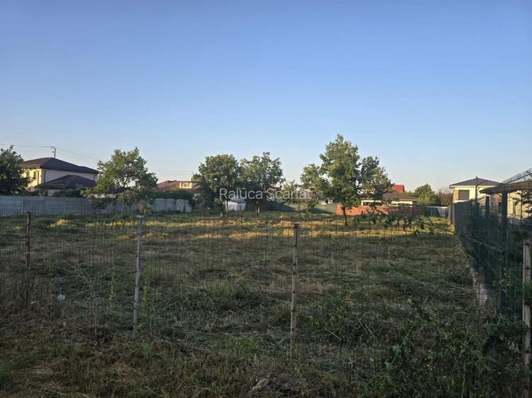 2 terenuri de 1250 mp fiecare  - 5