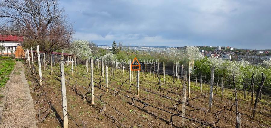 Casa - P+M - 228 mp , teren - 1024 mp - Bucium - 5