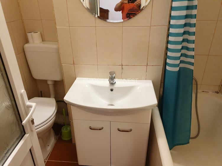Ion Mihalache - Banu Manta -Pet friendly-inchiriere garsoniera - 4