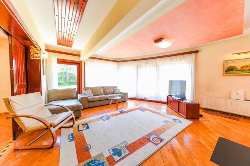 Vila/Proprietate Speciala, 500mp utili, 3300mp teren, Sangeorgiu de Ms - 4