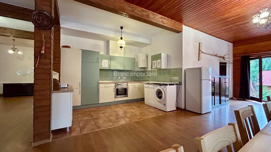 Pensiune de vanzare in Belis - capacitate 23-25 persoane - 7