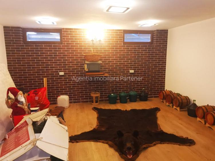 Vila Trivale - Montanstar, teren 1.750mp, piscina, mobilata - 38