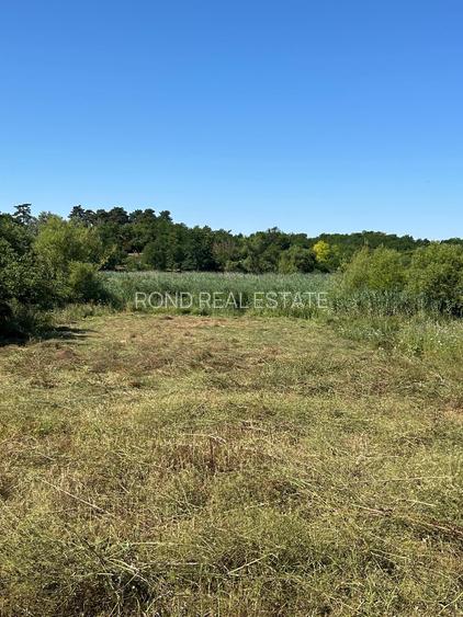 Teren cu deschidere la lac strada Orhideelor- conectare imediata la curent - 7
