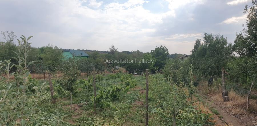 Teren 1100mp la 30 km de Bucuresti - 10