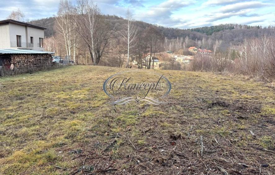 Teren cu potential pe Valea Caprioarei - 6