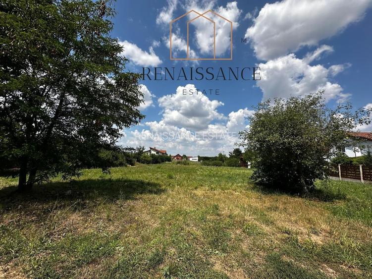 Dumbravita Teren Intravilan 1466mp Front 29m | Langa Padure - 15