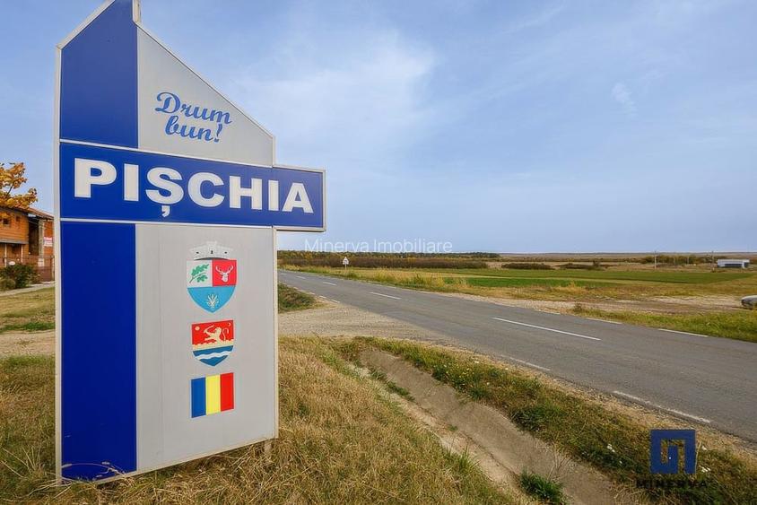 Teren ideal ca investitie, 19000 mp, in Pischia pe DJ691, comision 0 - 8