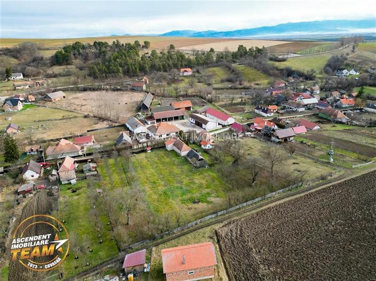 FILM! 5.000mp teren intravilan cu casuta rustica, Dalnic, Covasna - 17