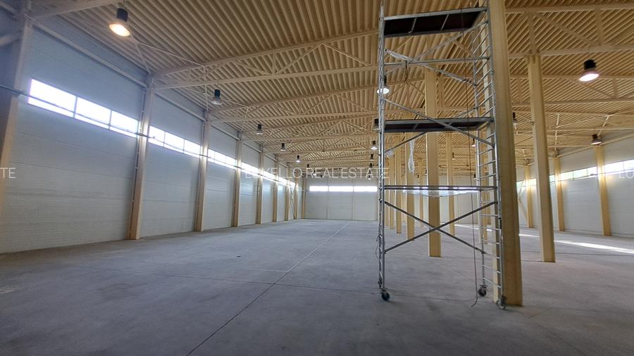 HALA DEPOZITARE CU ETAJ PARTIAL PENTRU BIROURI AMPLASAMENT: OTOPENI - 34