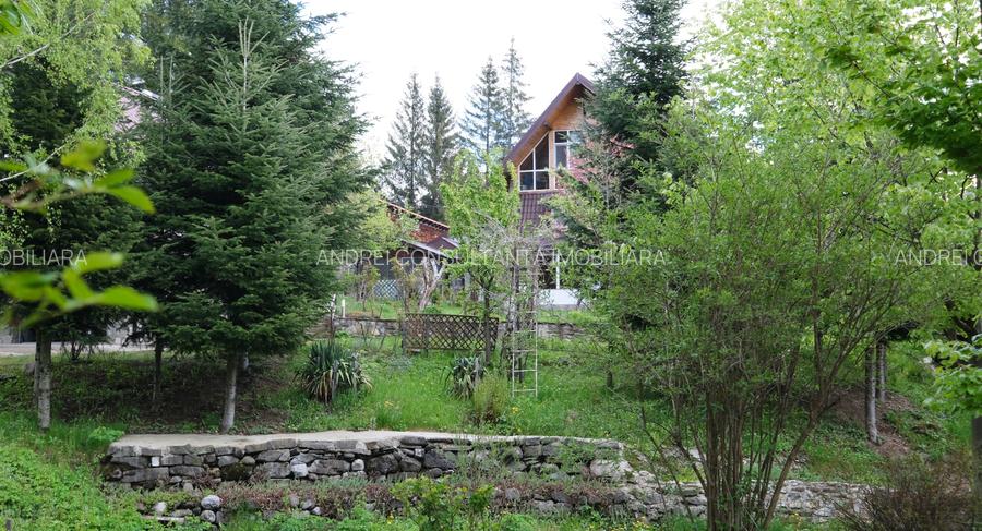 Vanzare 2 vile noi, mari superbe si 1905 mp teren la munte in Cheia Prahova - 13