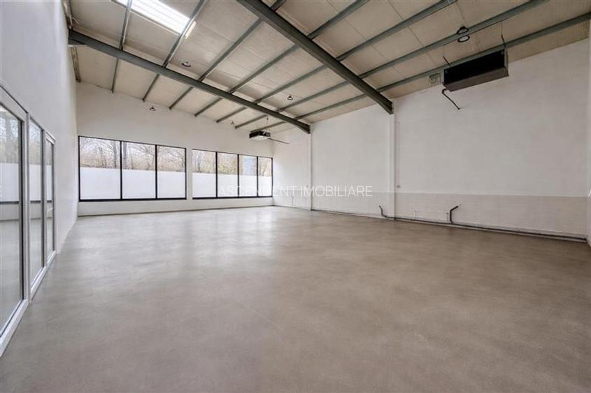 Hala productie premium+pachet afacere, domeniu de 4.700 mp teren,Solovastru, Mur - 4