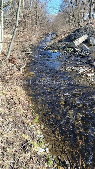 Teren de vanzare la satul de vacanta Dejani - 6