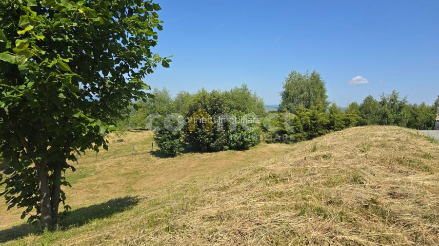 Vanzare Parcele Teren Intravilan - Cluj cu Autorizație și Utilități la Parcelă - 6