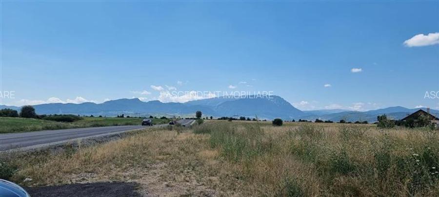 FILM! Parcela imprejmuita,design casa,aviz constructie,1.085 mp,Panicel,Rasnov - 24