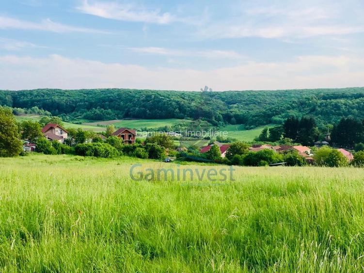 Teren mixt de vanzare in Hidiselu de Jos, Bihor - 4