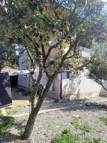 Casa renovata in Preluci la 12 Km de Comanesti , fantana si centrala proprie - 18