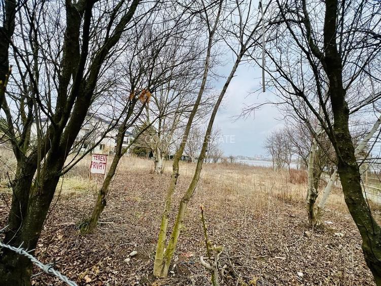 2066 mp teren deschidere lacul Grivita 24m zona deosebita in Damaroaia - 10