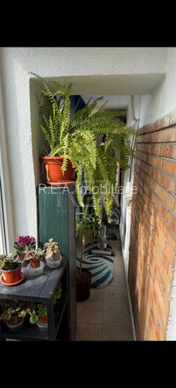 3 camere, 8/8, bloc 1984, 72mp, - Crangasi-Pod Grant - 12