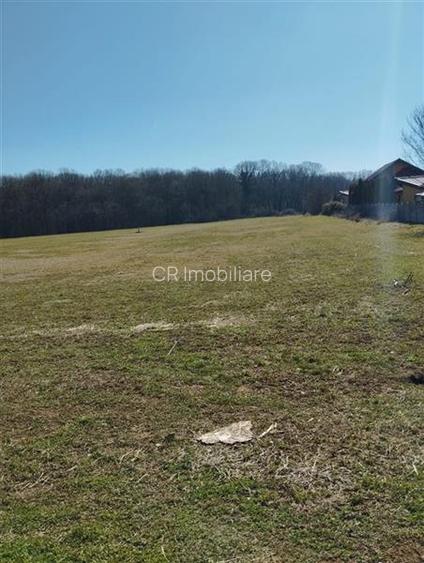 IZVORANI Teren unic prin locatie si priveliste, cu hotar la padurea, intr-o zona - 3