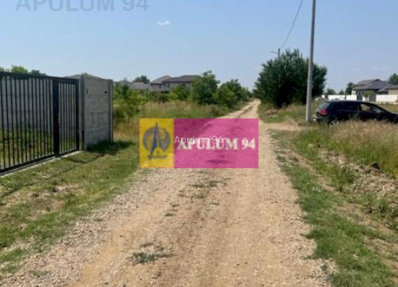 Teren Domnesti- Ciutaci. - 4