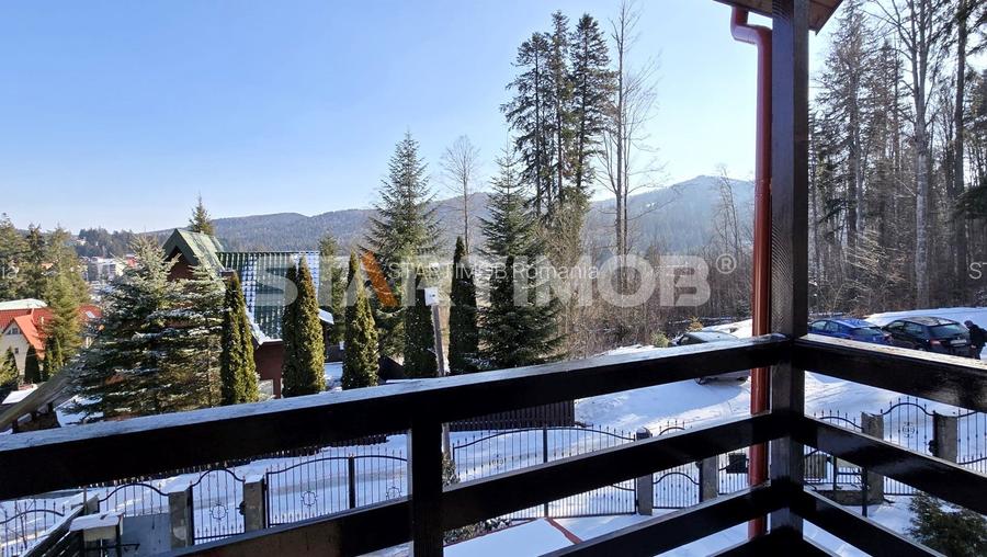 Casa de vacanta Predeal - 18