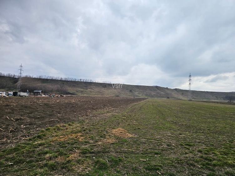 Oportunitate investitie – Teren intravilan in Bacau - 6