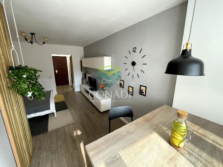 Garsoniera renovata modern str Nada Florilor - Teiul Domnei - 68
