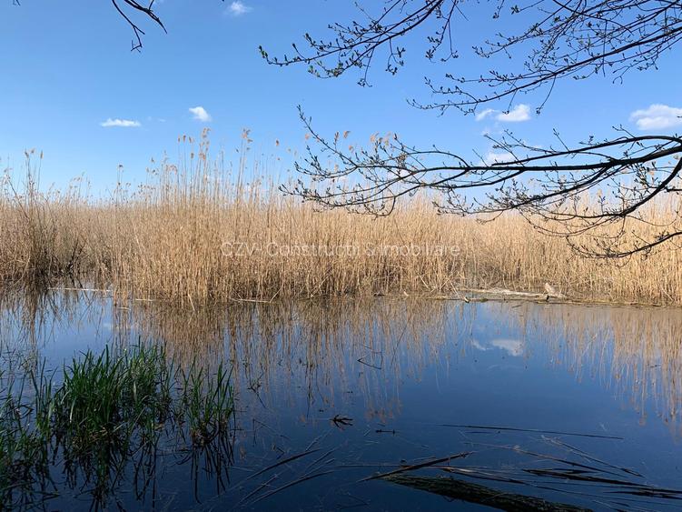 Teren 2000 mp de vânzare – Comana, deschidere la lac, aproape de Parcul Natural - 5