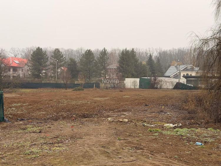 Teren Snagov - Cioflinceni | Drum amenajat | Aproape de Padure si Lac - 7