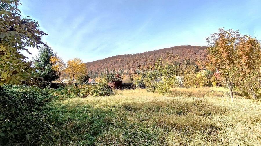 Teren Intravilan Bunloc - 2