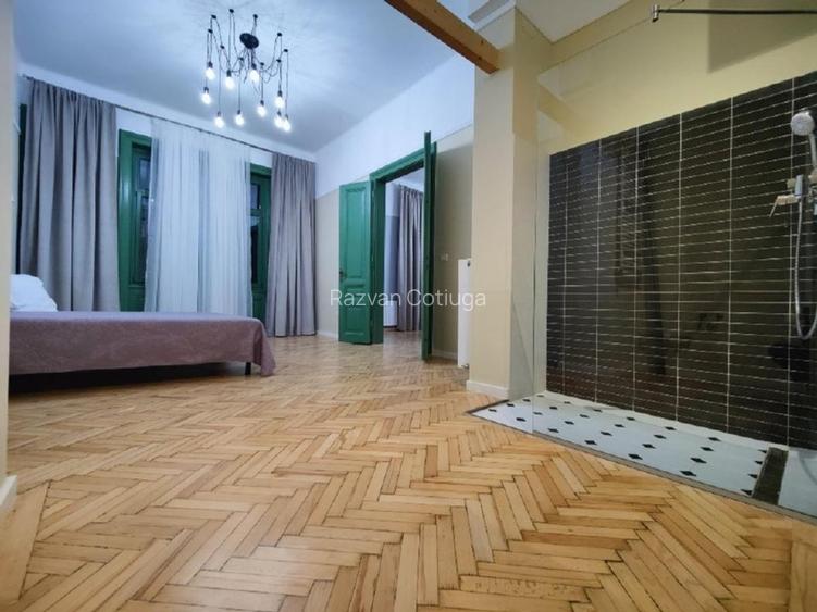 Apartament deosebit in Centrul Timisoarei - 10