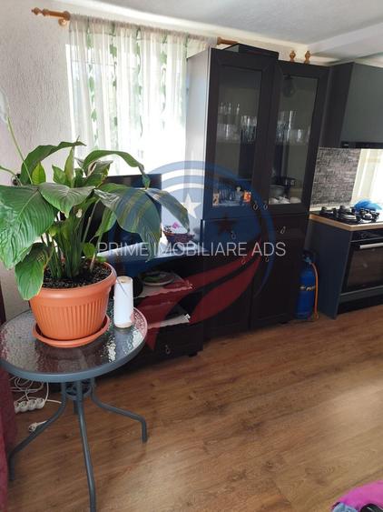 Casa cocheta la 30 minute de Craiova- Cornița Dolj - 8