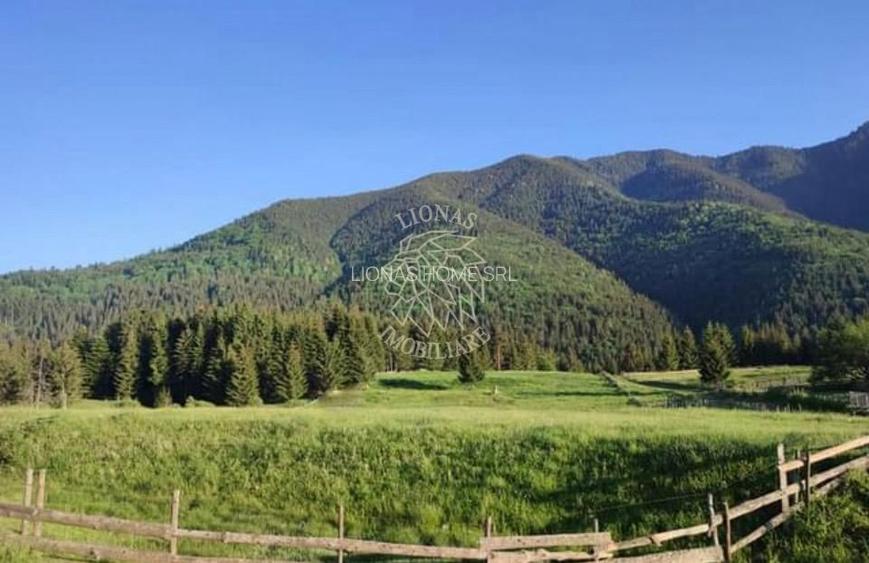 Teren PIATRA FANTANELE - 11.800 mp- ideal investitie, pensiune, hotel - 2