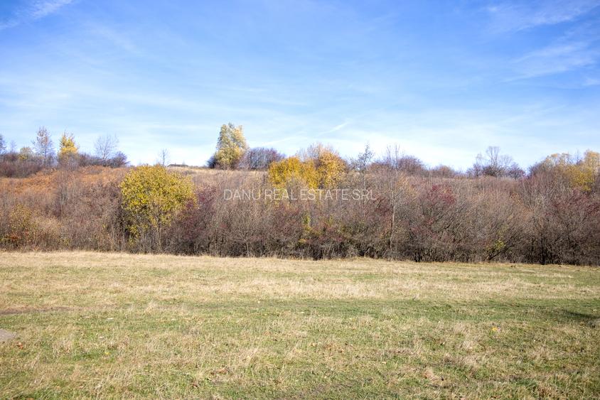 Teren intravilan 5723mp Zarnesti Tohanita- case de vacanta,investitie in turism - 4