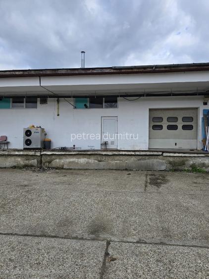 Vand hala productie 1800 mp (2 hale de 900mp) si 4500 mp teren in Focsani - 11