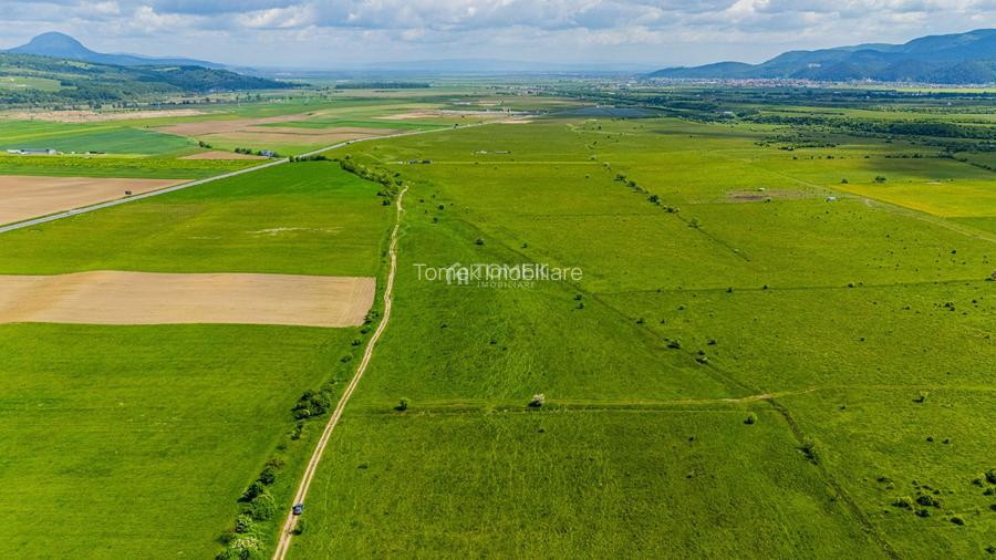 Teren de investiție în zona Tohanul Nou - Bran  5.800 mp - 16