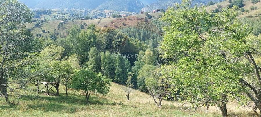 Teren de vânzare | Măgura, Brașov | Oportunitate de Investiție - 8