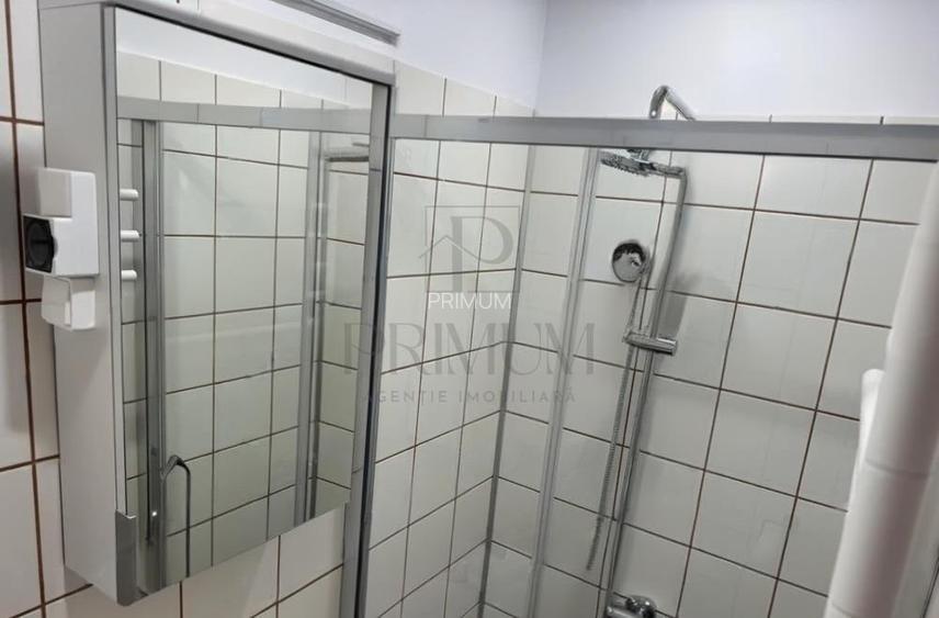 Garsoniera-Mobilata-Utilata-Buziasului - 5