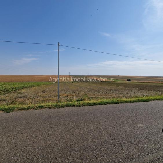 Teren intravilan+extravilan la strada asfaltata - 2
