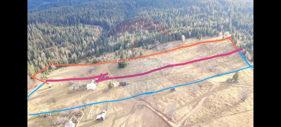 Teren INTRAVILAN 23.238m.p. Dorna-Arini / Cozănești - 6