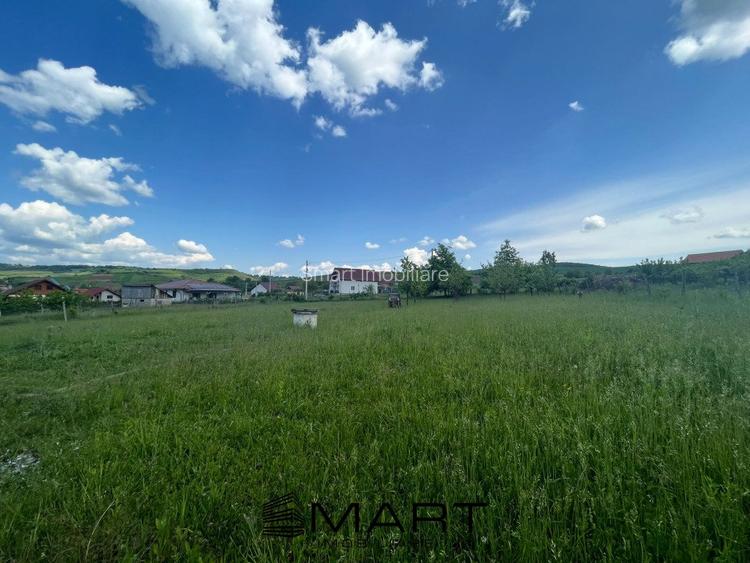 Casa  Hamba 250 mp utili 2000 m teren - 2