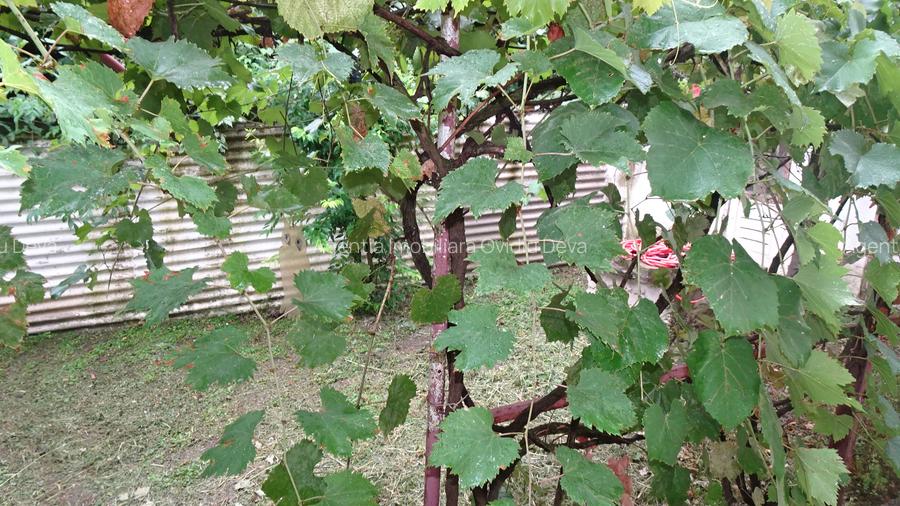 Vand casa in Deva compusa  zona Aurel Vlaicu D+P+E, constructie din anul 2010 - 3