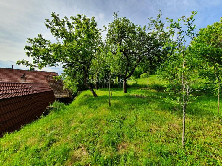 Vind vila in satul ROD- Pe drumul TRANSALPINA - 4